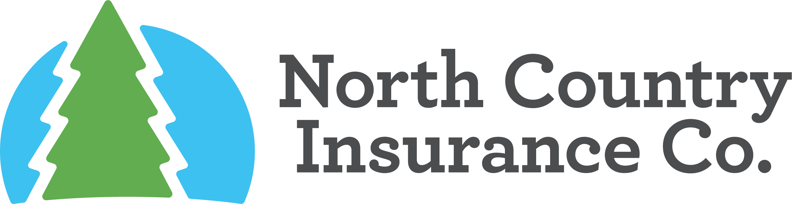 NLC Insurance